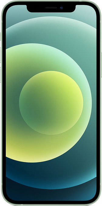 Товар Apple iPhone 12 64GB (зеленый)